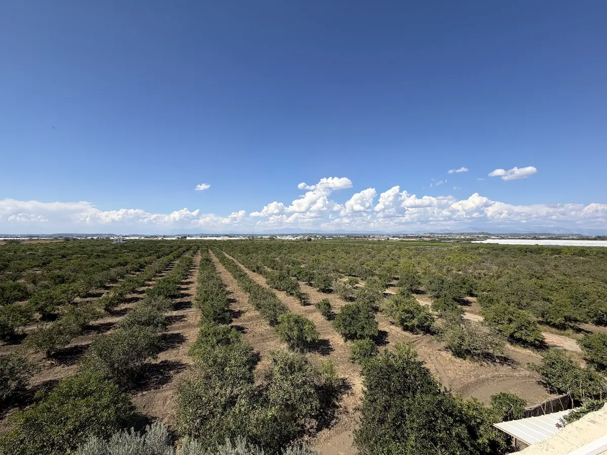 Farm land in Serik